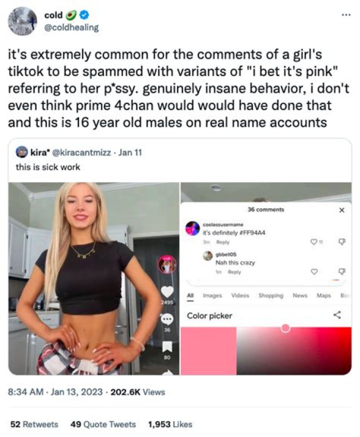 "Is It Pink Meaning TikTok"?
